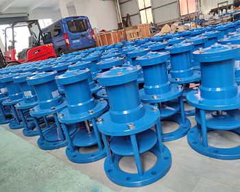 中標大型污水處理廠排泥閥項目